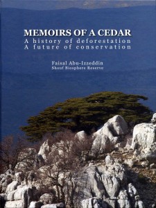 Memoirs of a Cedar